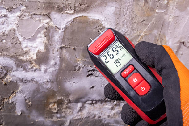 Best Water Damage Restoration  in Saylorsburg, PA